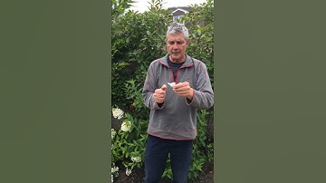 Testing my possible new ejection charge