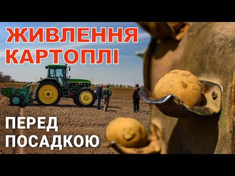 Посадка та технологія живлення картоплі