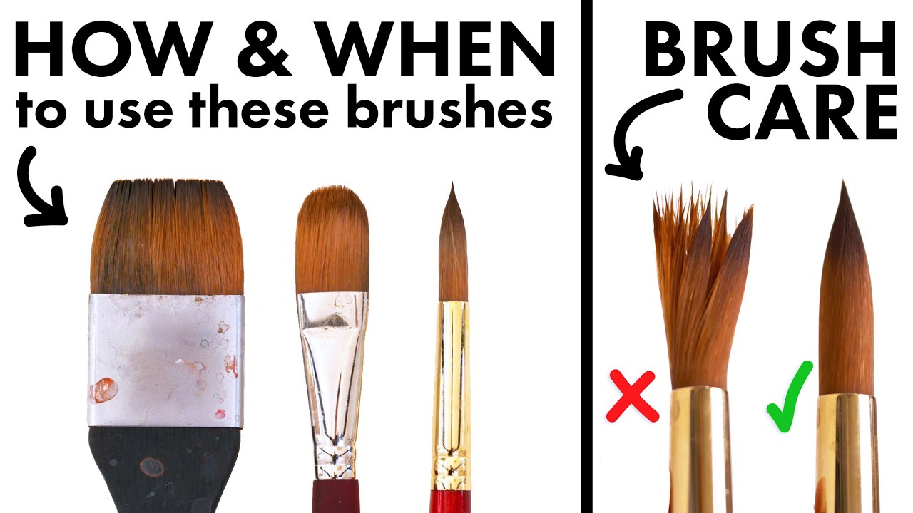 The Beginner's Guide to Watercolor Brushes 