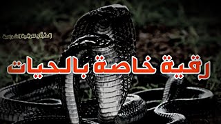 رقية للثعبان الساحر خادم إبليس وللسحر المصنوع بسم وجلود الحيات / 00212682708740