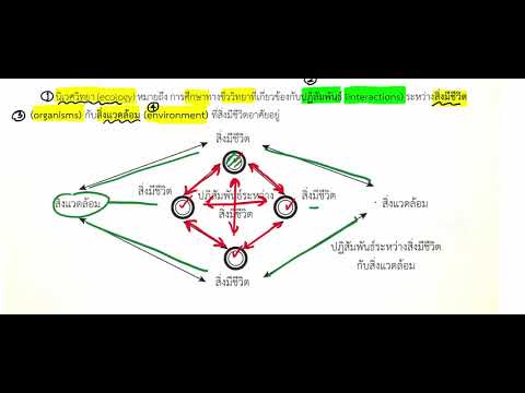 บทที่ 20 ระบบนิเวศ ตอนที่ 01 นิเวศวิทยา