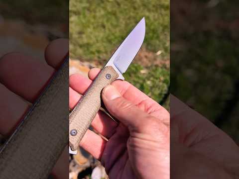 New Kizer...BULLSEYE!
