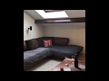 Appartement T3 - Lyon 8 Montplaisir - YouTube