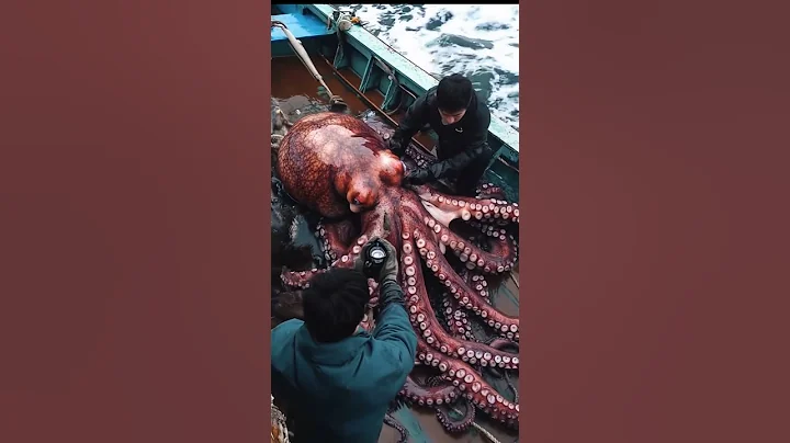 harvesting octopus on boat #fishing #amazing #ytshorts #ocean #deepsea #octopus #ai #pacificocean