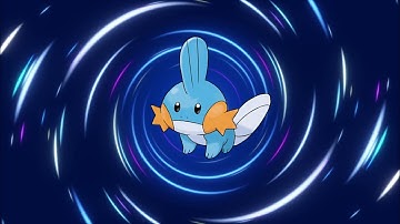 Mudkip Evolution Line!