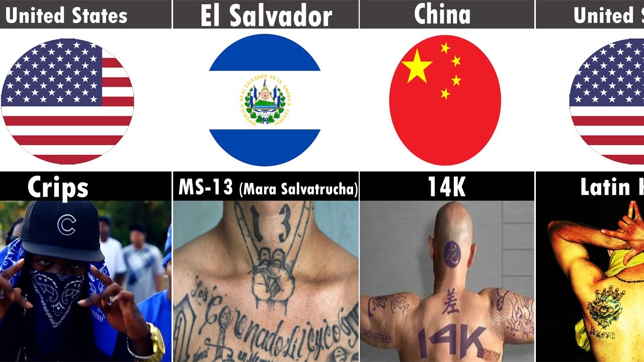 GANG GROUPS from different countries (both street  and organized groups)