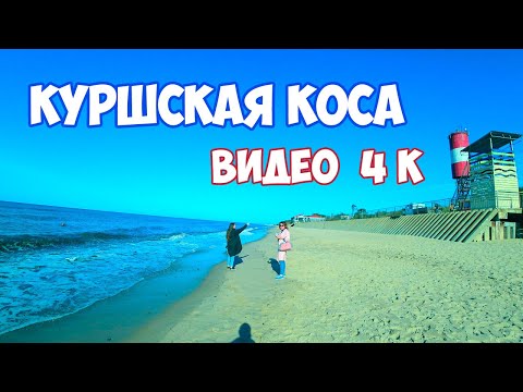 Куршская коса 4K || Индивидуальные экскурсии по Куршской косе