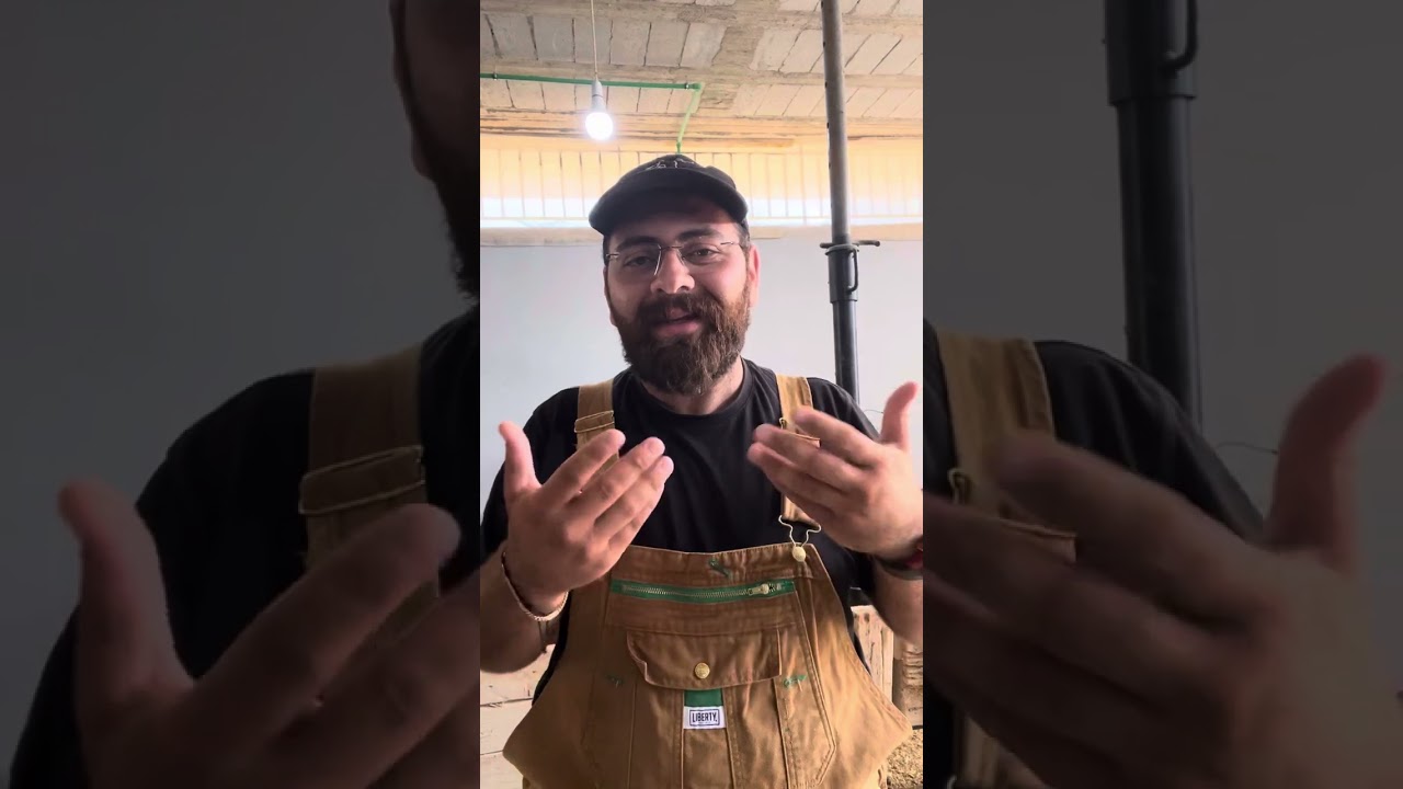 سجلنا أكثر من ٩٠ مربي مواشي… وهذي أكثر الأخطاء اللي نشوفها دايمًا 👀🐐