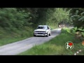 Riccardo Errani - Lancia Delta HF integrale 16v Gr.A - 1° Rally D'estate 2017 / Pure Sound