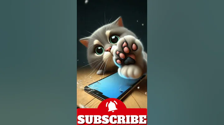 Video 10619351: hilarious kitty cat, cats animal funny kitty, cat kitty cute animals, enjoys cute funny cat