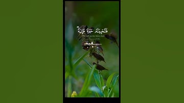 تلاوة نادرة من القرآن تبعث الطمأنينة#قران_كريم #تلاوة_خاشعة #quran