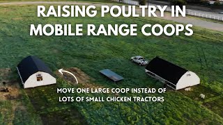 Raising Thousands of Chickens on Pasture in Mobile Range Coops by Diego Footer 73,410 views 2 years ago 35 minutes