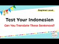 Test your indonesian  beginner level