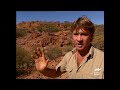 Steve Irwin Sneaks Up On the King of the Outback! | The Crocodile Hunter | Animal Planet