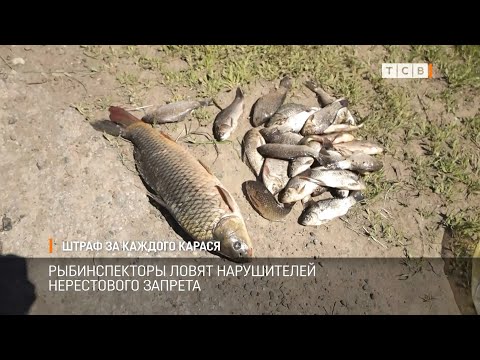 Штраф за каждого