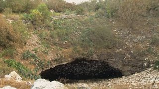 Millions of bats emerge from cave in Bracken