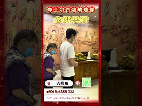 | 马来西亚总部-吉隆坡 | 共修回顾 | 2024-06-30 | 弥陀身色如金山 相好光明照十方 | 南無阿彌陀佛 | 净土宗 Pure Land Buddhism