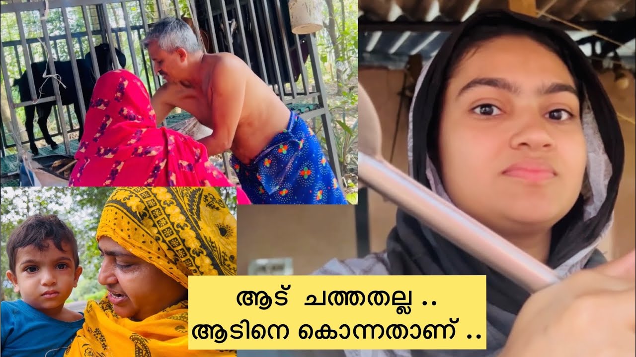 ആട് ചത്തതല്ല ...ആടിനെ കൊന്നതാണ് ...😓