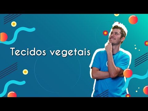 Vídeo: O Que é Tecido Vegetal