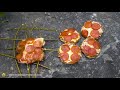 Making Bread with ROCKS and WHEAT