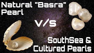 Natural Pearls v/s Southsea & Cultured Pearls || Basra Pearl ||