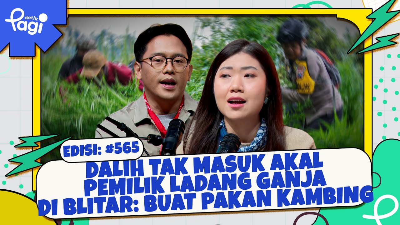 Dalih Tak Masuk Akal Pemilik Ladang Ganja di Blitar: Buat Pakan Kambing