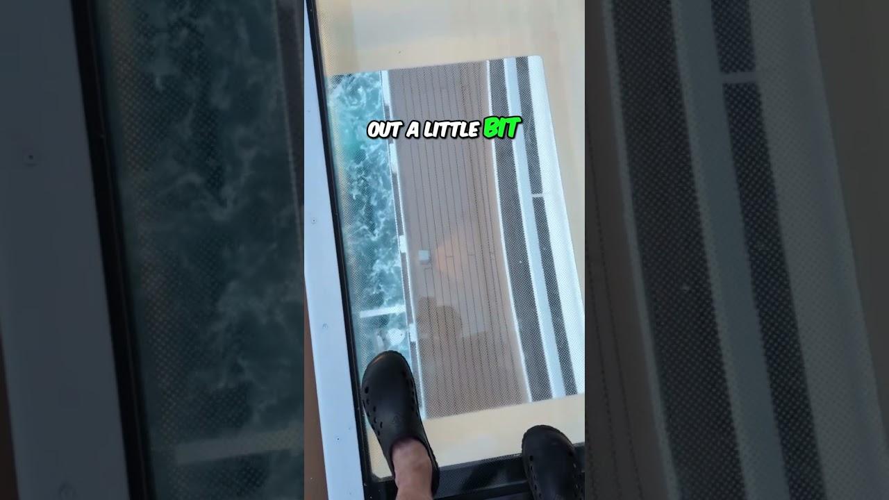 MSC Seashore Infinity Bridge: Walking on Glass! #shorts