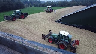 Corn silage @ Back