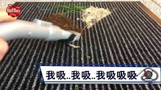 Bid Buy Shop - 百德 Black & Decker PD1200AV 車用吸塵機