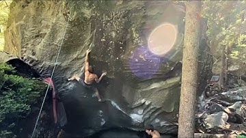 Chris Schweiger in Magic Wood