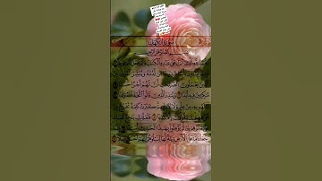 لا تنسو قراءه سورة الكهف يوم الجمعه ❤ #اسلام_صبحي #قران_كريم سوره الكهف