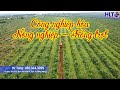 Máy Thu Hoạch NGÔ - CỎ liên hợp - Công Nghiệp Hóa Ngành Nông Nghiệp VN