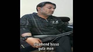 Siyamend hisso gula men