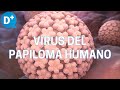 El Virus del Papiloma Humano también afecta a los hombres