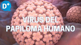 ¿Qué tan peligroso es el virus del papiloma humano en hombres?