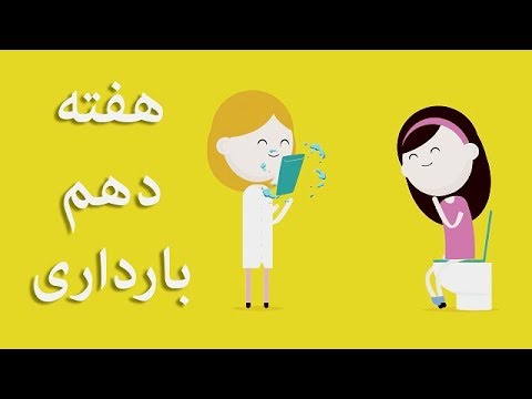 بارداری هفته به هفته هفته دهم بارداری