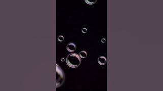 wonderful live band ( Highlife ) by Ulaga