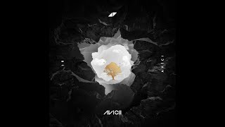 Avicii - Lonely Together (Instrumental)