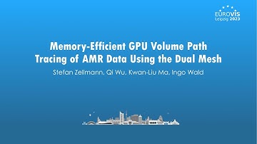Memory-Efficient GPU Volume Path Tracing of AMR Data Using the Dual Mesh