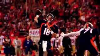 Denver Broncos -Road To Super Bowl 50