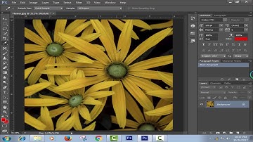 Exploring the Filter Gallery - Adobe Photoshop CS6 Tutorial