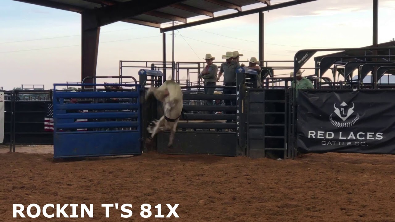 ROCKIN T'S YEARLING BULL SALE ON THE BREEDERS CONNECTION 72319 LOT