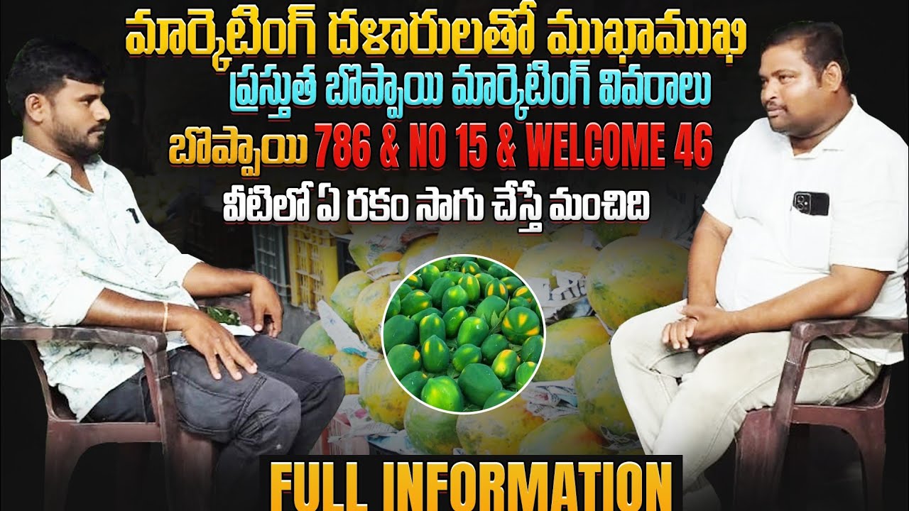 # మార్కెటింగ్ దళారులతో ముఖాముఖి# ప్రస్తుత బొప్పాయిమార్కెటింగ్ వివరాలు#786 #NO 15 #వెల్కమ్ 46#DON'T#