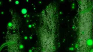 Adobe After Effects CS5 Intro [Amazing]