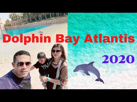 Dolphin Bay Atlantis || The Dolphin Show During Pandemic