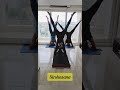 International Yoga Day