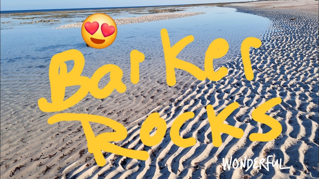 Barker Rocks, squid central - YouTube