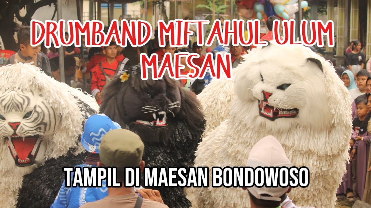 TAMPIL DI MAESAN BONDOWOSO BERSMA DRUMBAND MIFTAHUL ULUM MAESAN💃😎