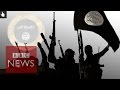 The rise of the islamic state  bbc news
