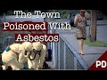 Toxic Air: The Libby Montana Asbestos Disaster | Short Documentary | Plainly Difficult